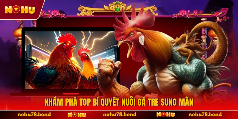 Khám phá top bí quyết nuôi gà tre sung mãn