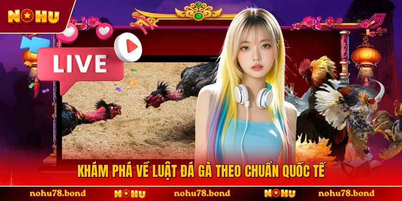 Khám phá về luật đá gà theo chuẩn quốc tế